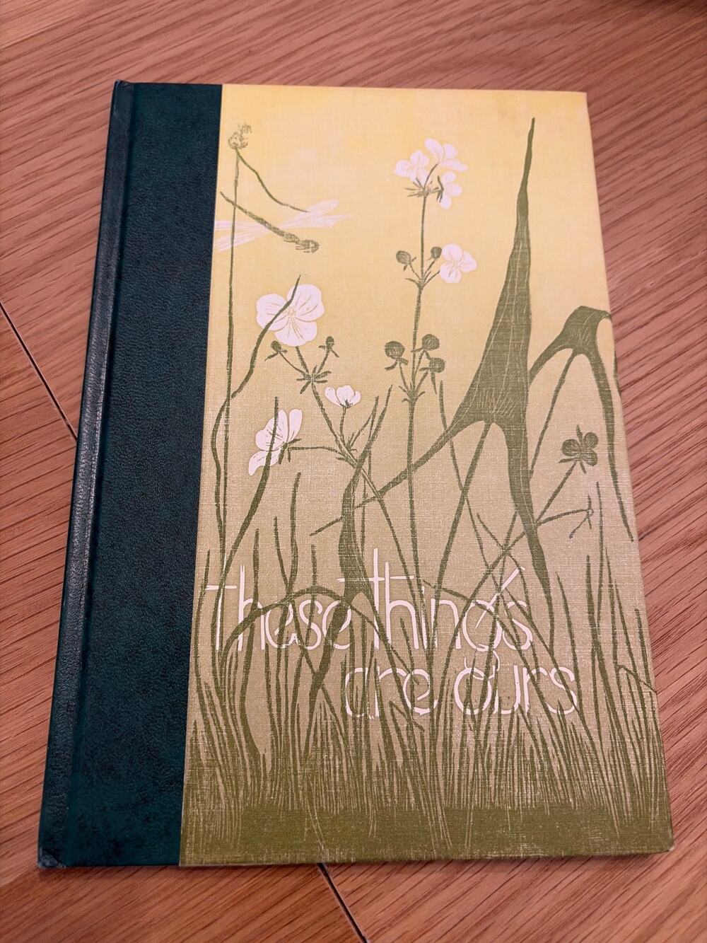 These Things Are Ours Gwen Frostic 1960 HC Block Print Poetry Presscraft Papers